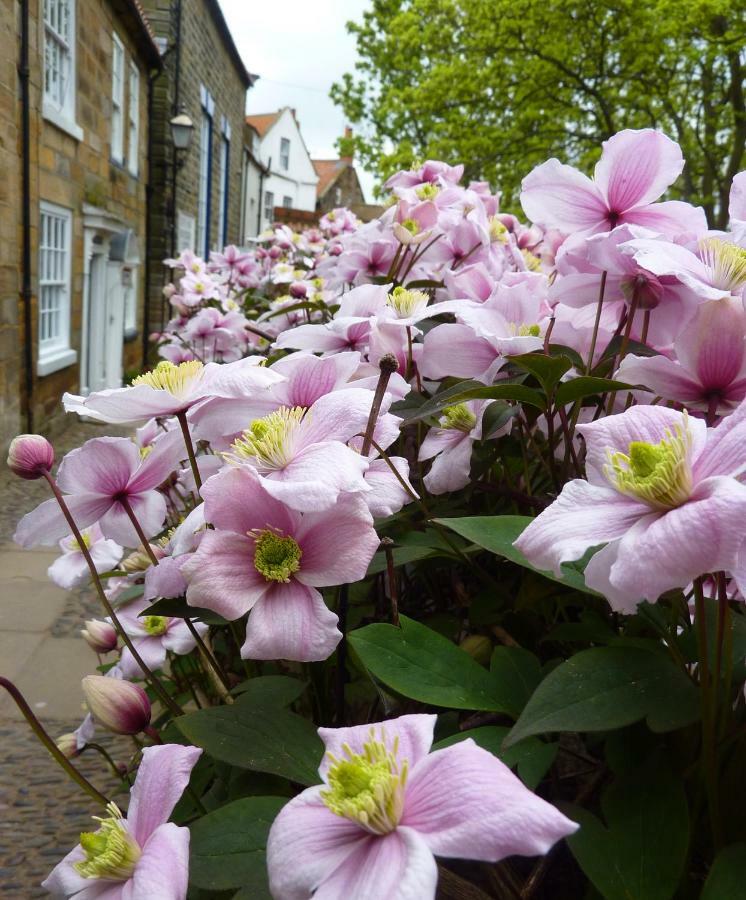 Aldersyde Bed & Breakfast Robin Hood's Bay Luaran gambar